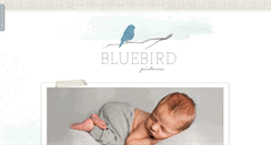 Desktop Screenshot of bluebpics.com